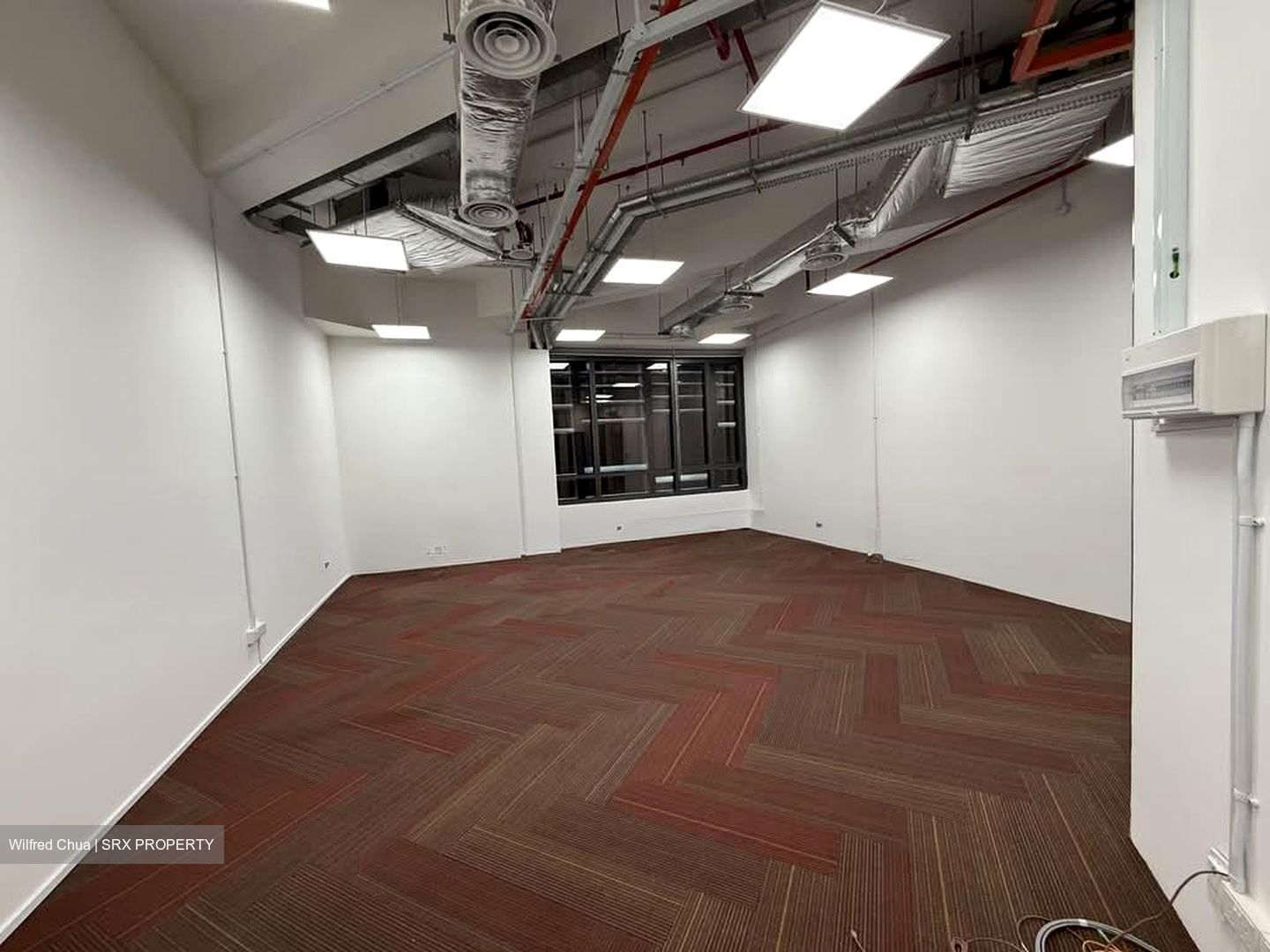 PLUS (D1), Office #554082621